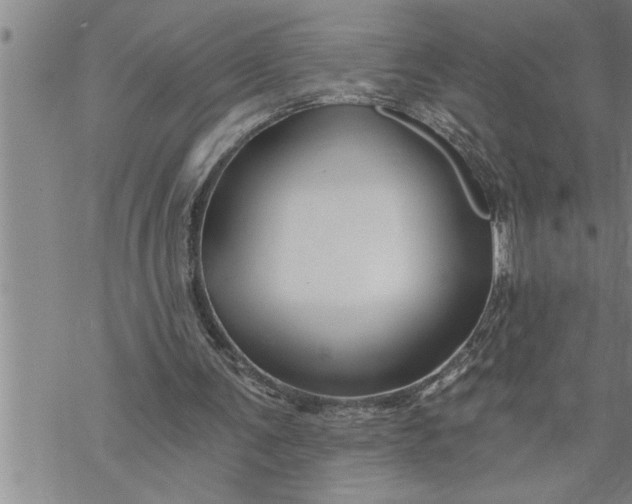 X0000069830291200606021343