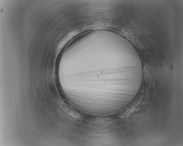 X0000069830292200606021343