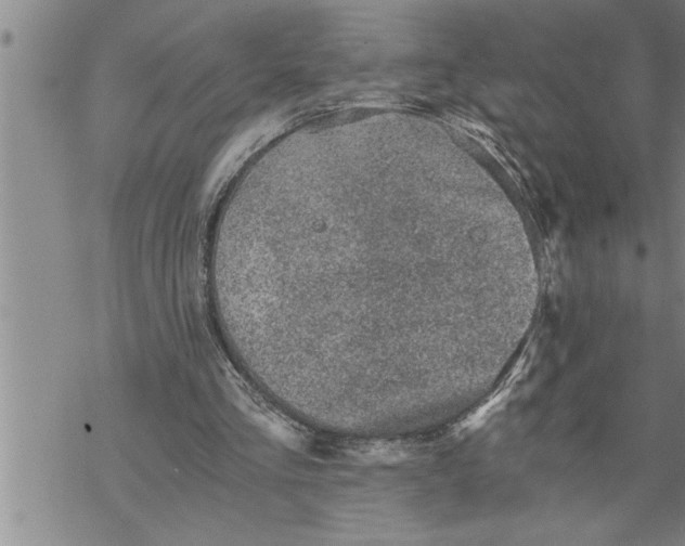 X0000069830293200606021343