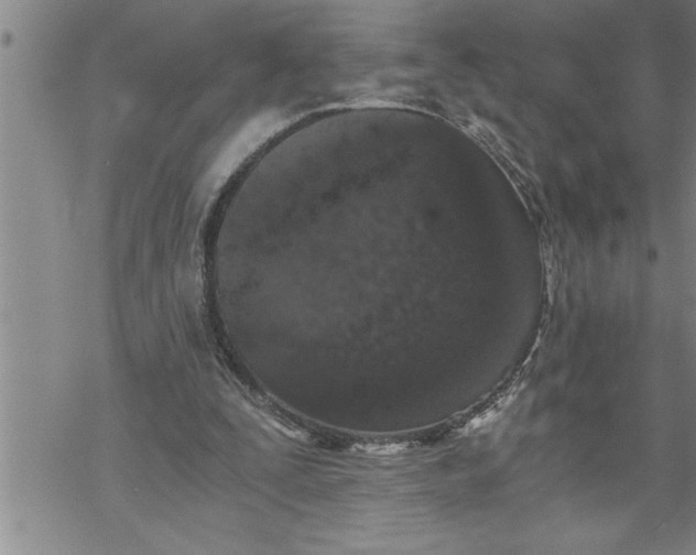 X0000069830295200606021343