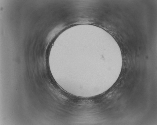 X0000069830296200606021343