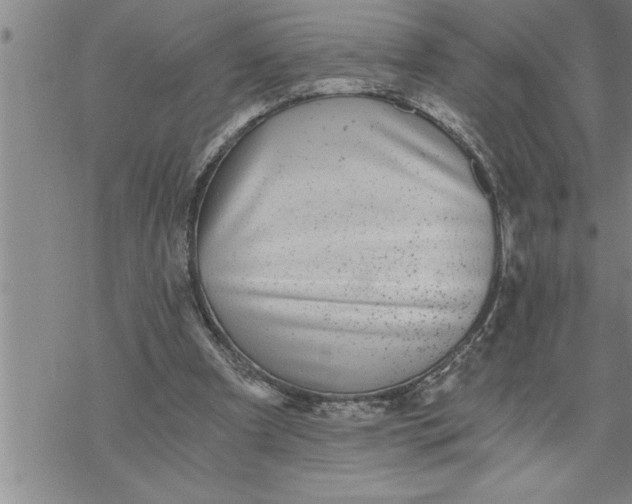 X0000069830297200606021343