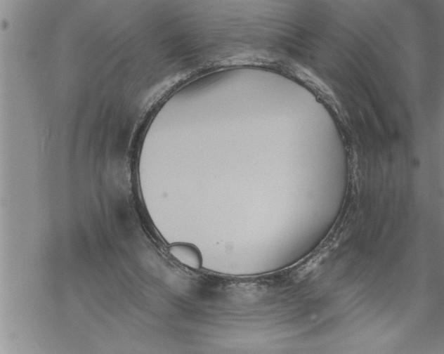 X0000069830298200606021343