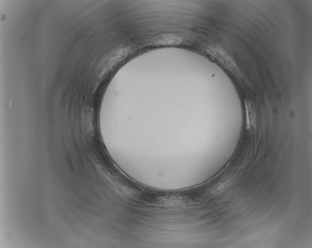 X0000069830300200606021343