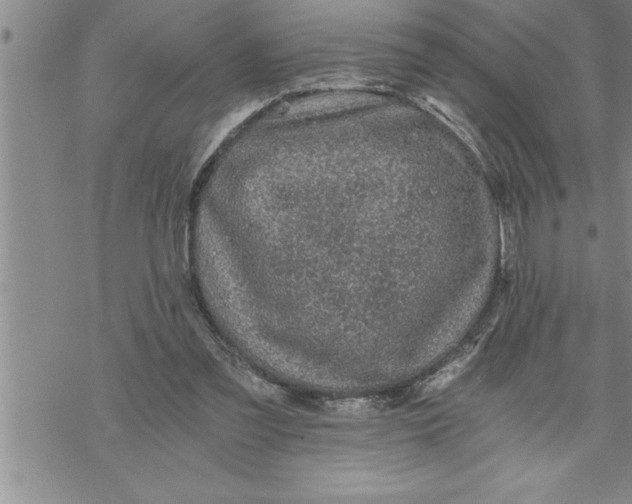 X0000069830301200606021343