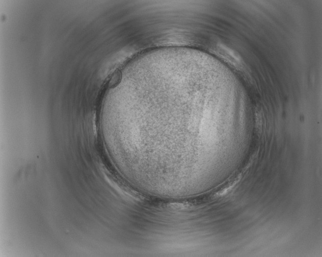 X0000069830302200606021343