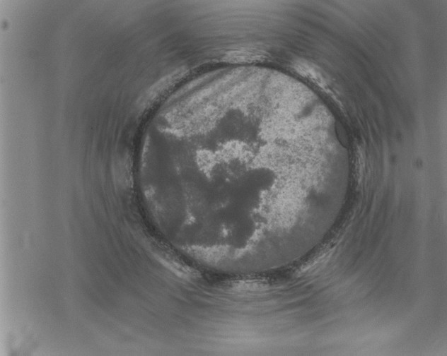 X0000069830303200606021343