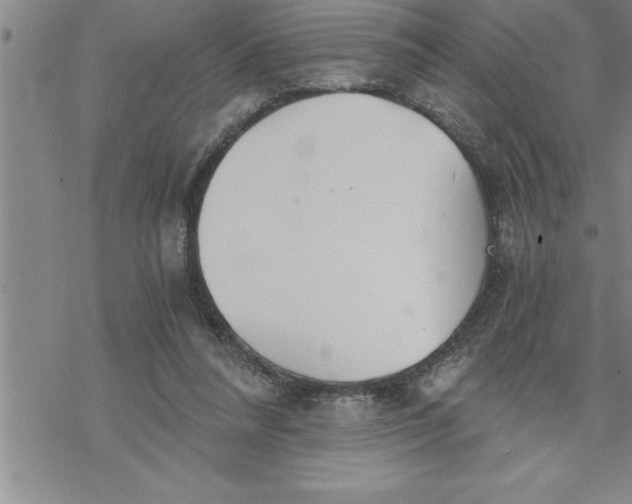 X0000069830304200606021343