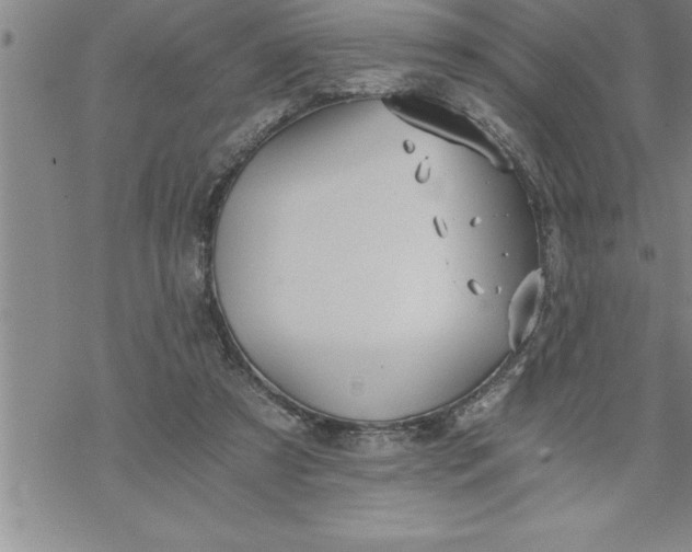 X0000069830305200606021343