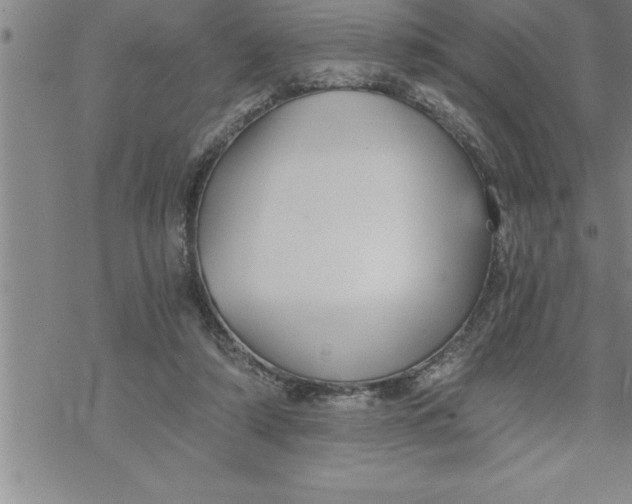 X0000069830306200606021343