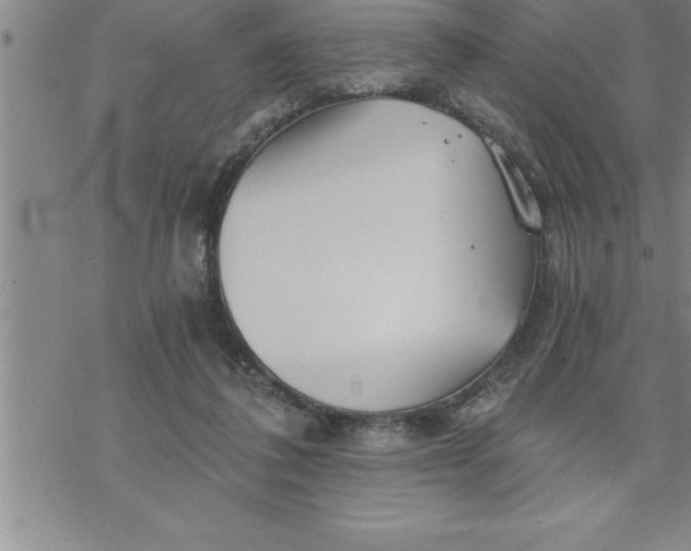 X0000069830308200606021343