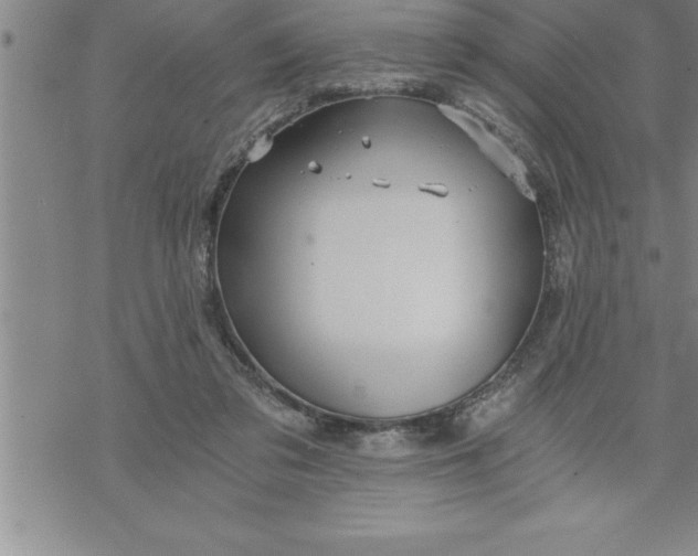 X0000069830309200606021343