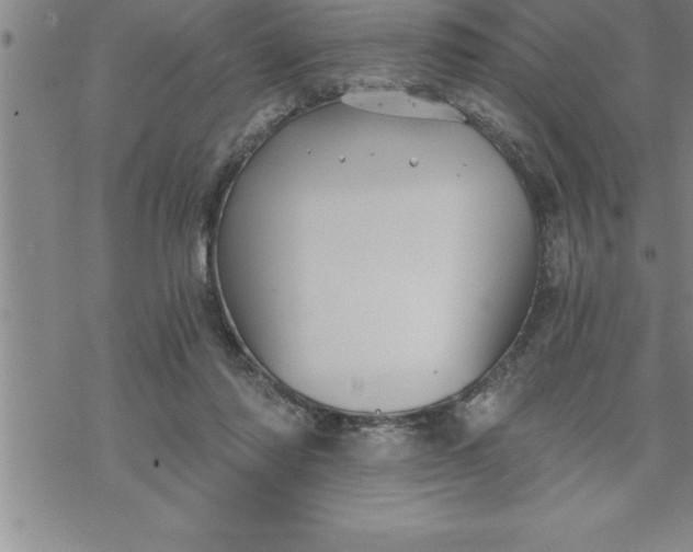 X0000069830310200606021343