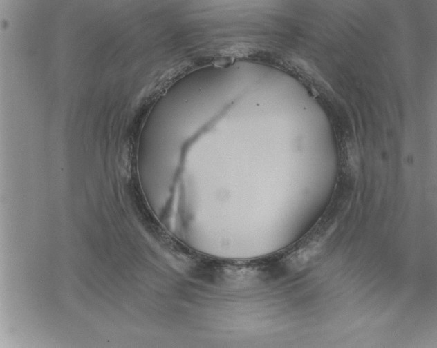 X0000069830311200606021343