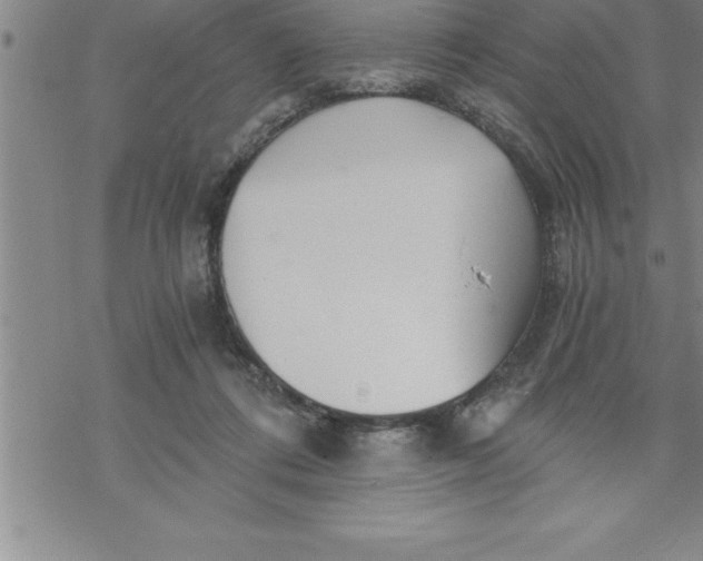 X0000069830312200606021343