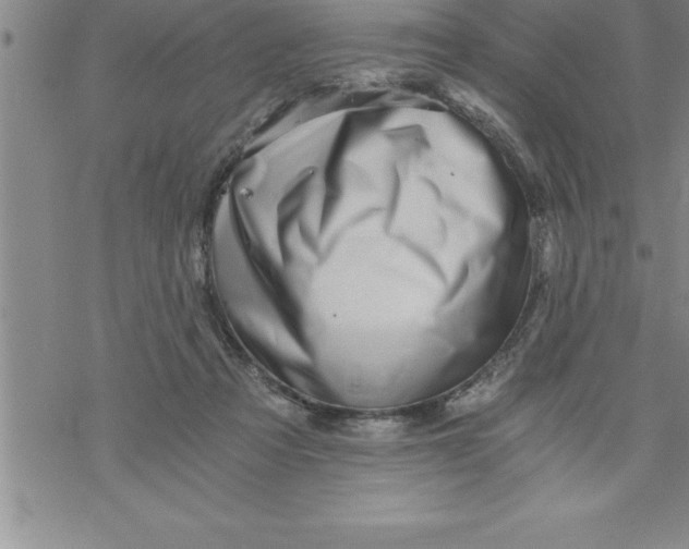 X0000069830313200606021343