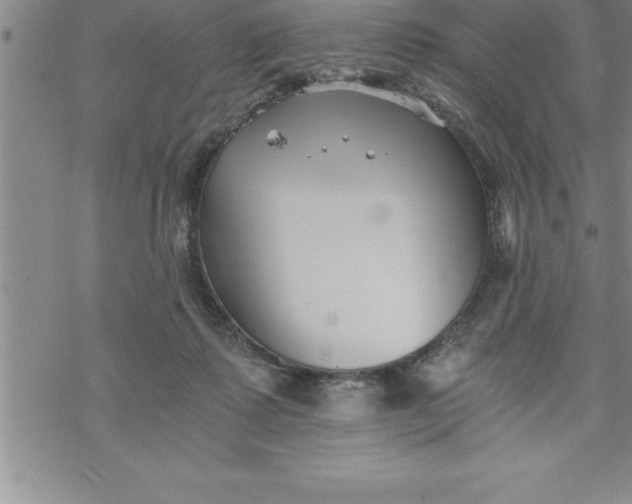 X0000069830315200606021343