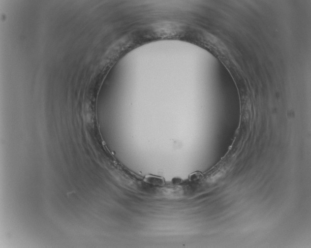 X0000069830317200606021343