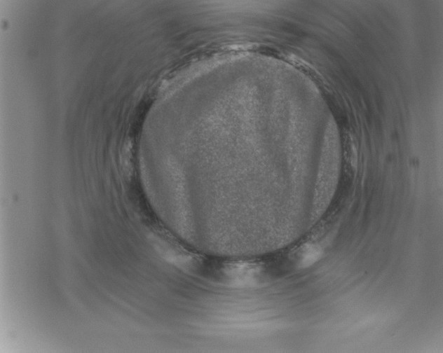 X0000069830319200606021343