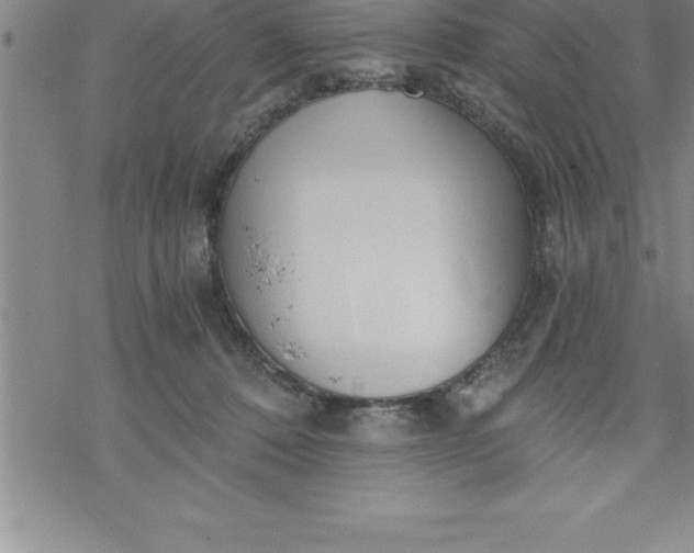 X0000069830320200606021343