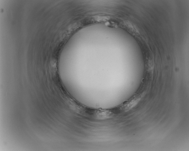 X0000069830321200606021343