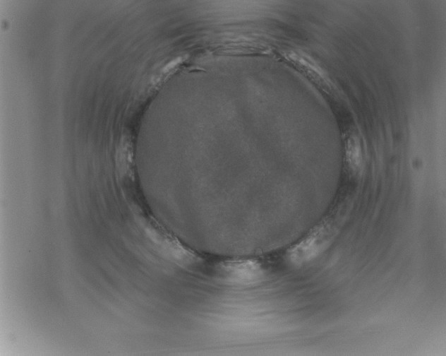 X0000069830322200606021343