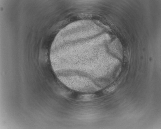 X0000069830323200606021343