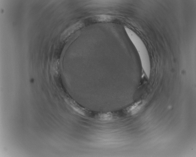 X0000069830325200606021343