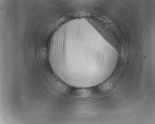 X0000069830326200606021343