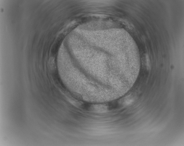 X0000069830327200606021343