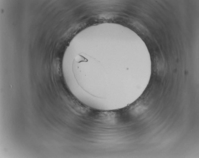 X0000069830328200606021343