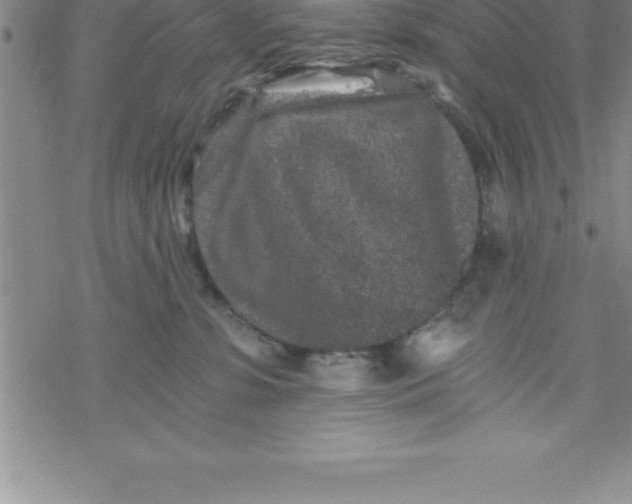 X0000069830331200606021343