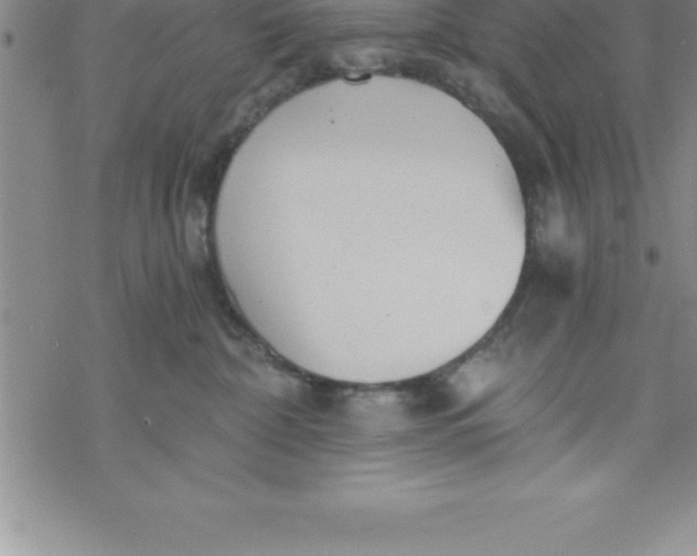 X0000069830332200606021343