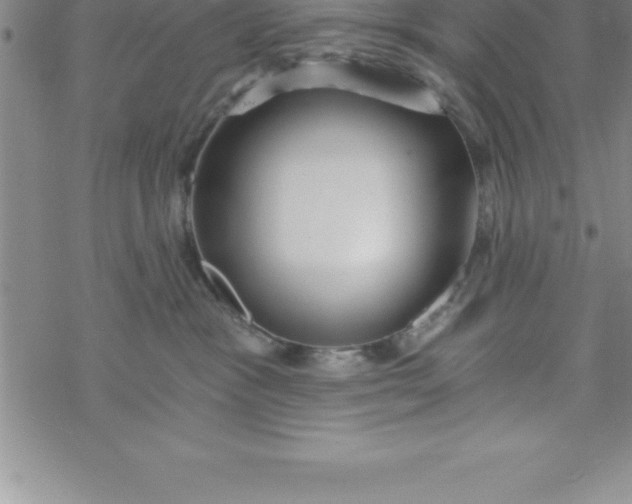 X0000069830333200606021343