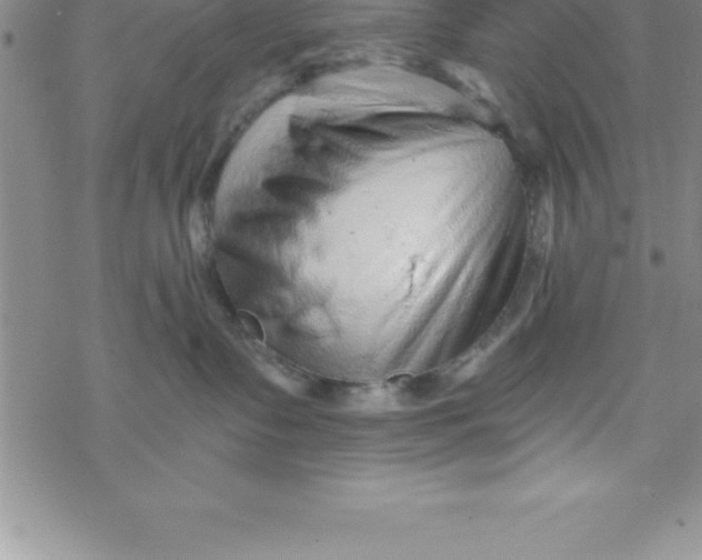 X0000069830335200606021342