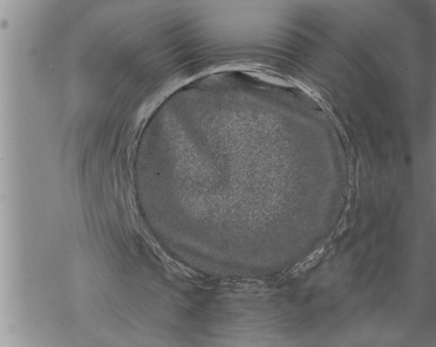 X0000069830337200606021342