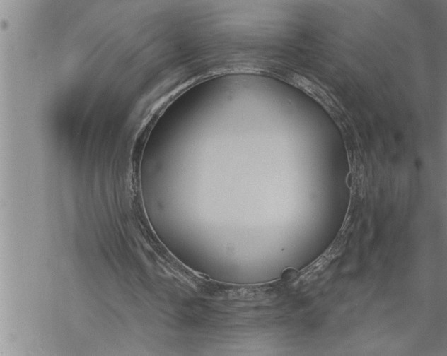 X0000069830338200606021342