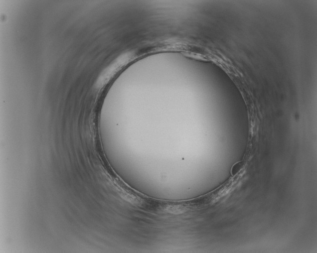 X0000069830341200606021342