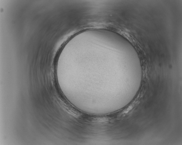 X0000069830342200606021342