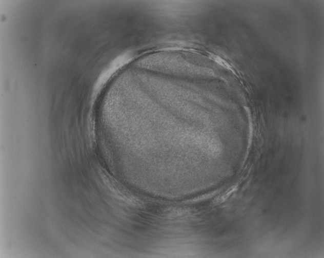 X0000069830343200606021342