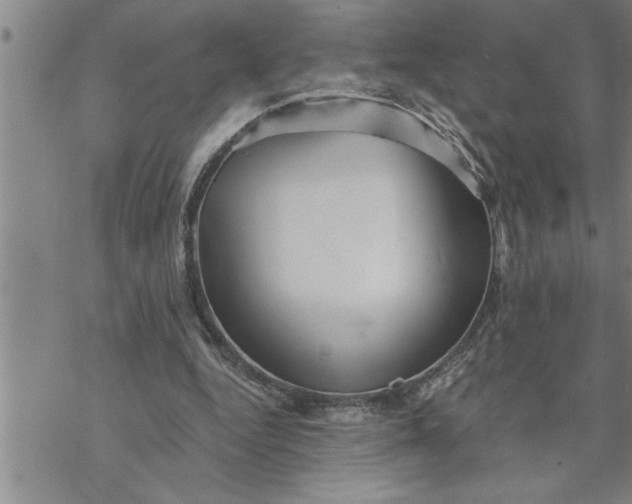 X0000069830344200606021342