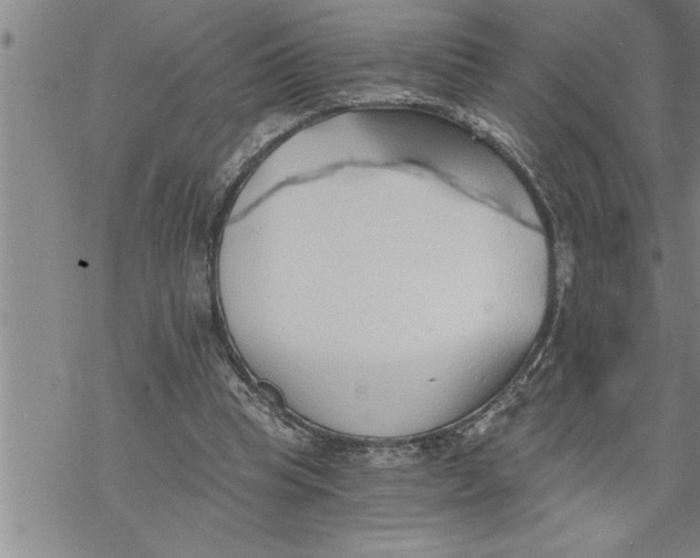 X0000069830345200606021342