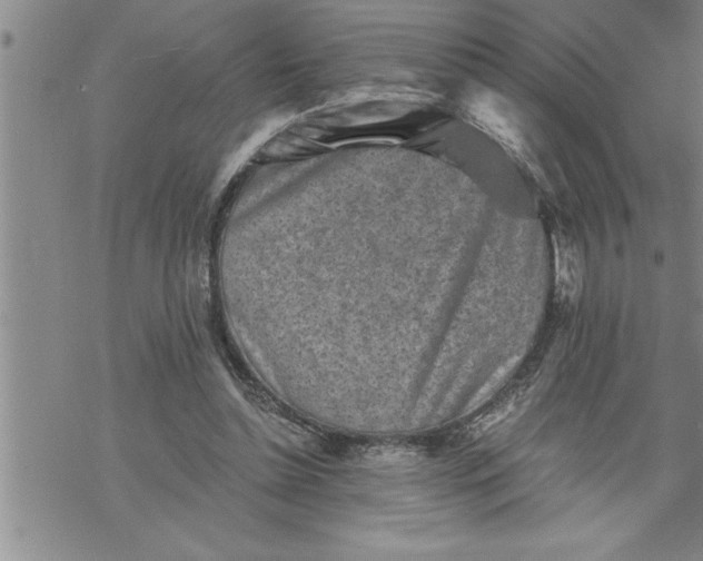 X0000069830348200606021342