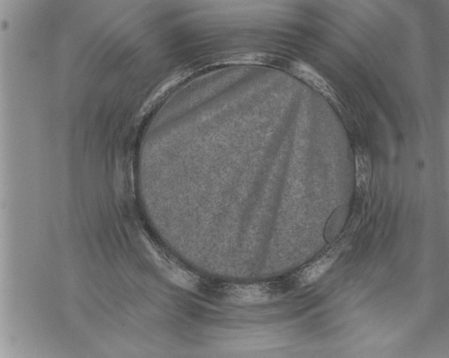 X0000069830349200606021342