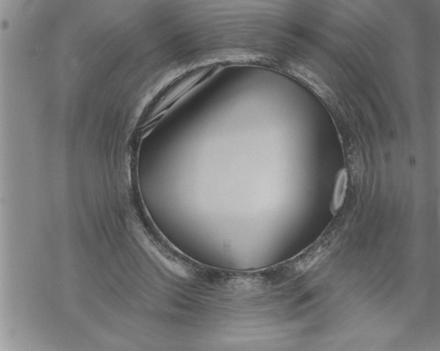 X0000069830350200606021342