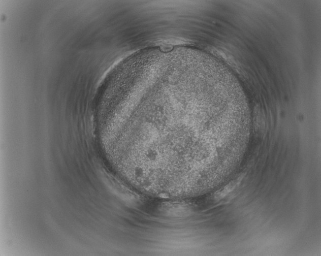 X0000069830351200606021342