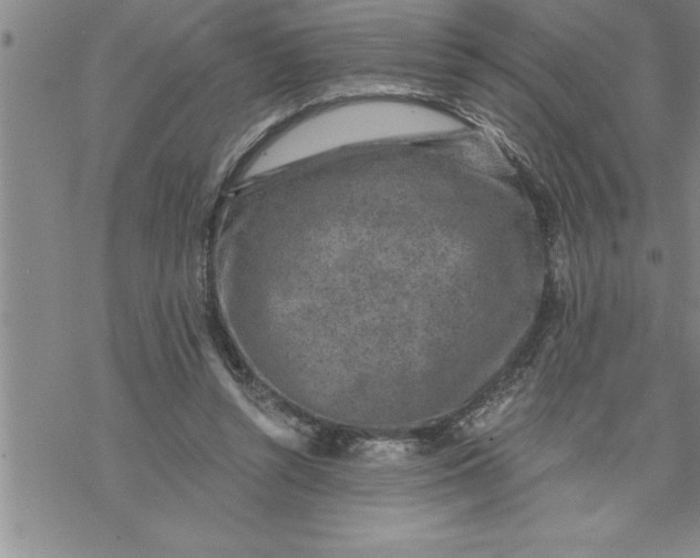 X0000069830352200606021342