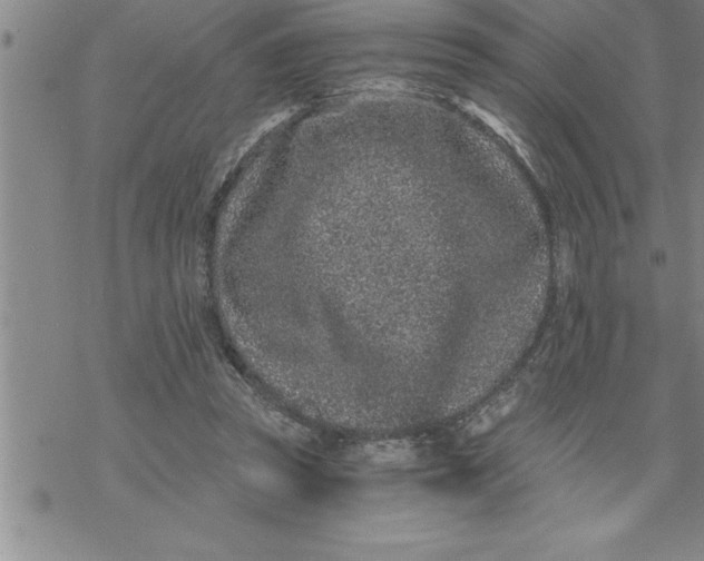 X0000069830353200606021342