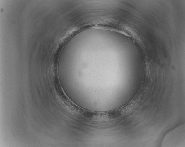 X0000069830354200606021342