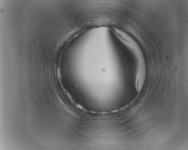 X0000069830356200606021342